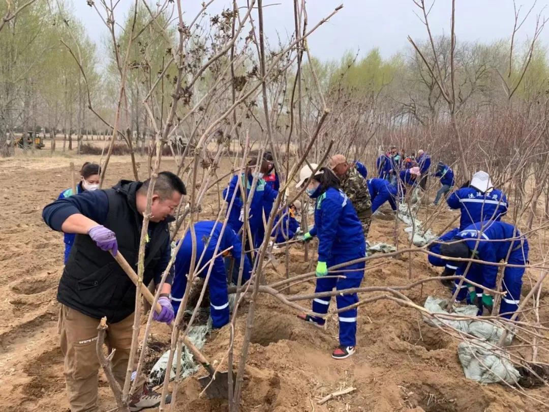 yl8cc永利集团(中国区)官方网站-Ultra Platform