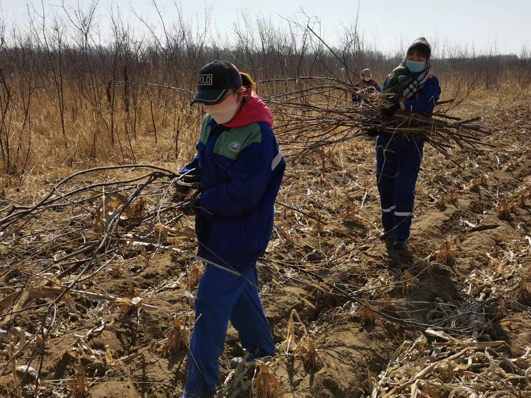 yl8cc永利集团(中国区)官方网站-Ultra Platform