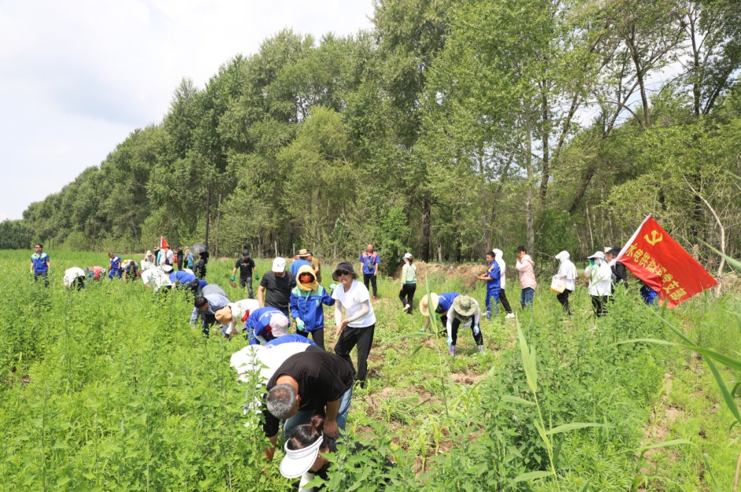 yl8cc永利集团(中国区)官方网站-Ultra Platform