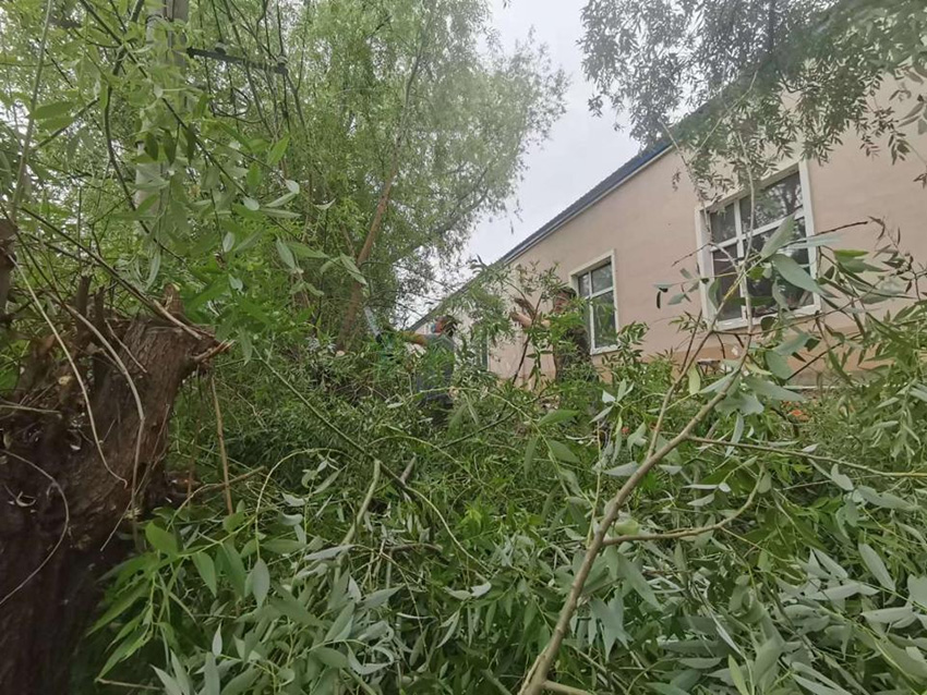 yl8cc永利集团(中国区)官方网站-Ultra Platform