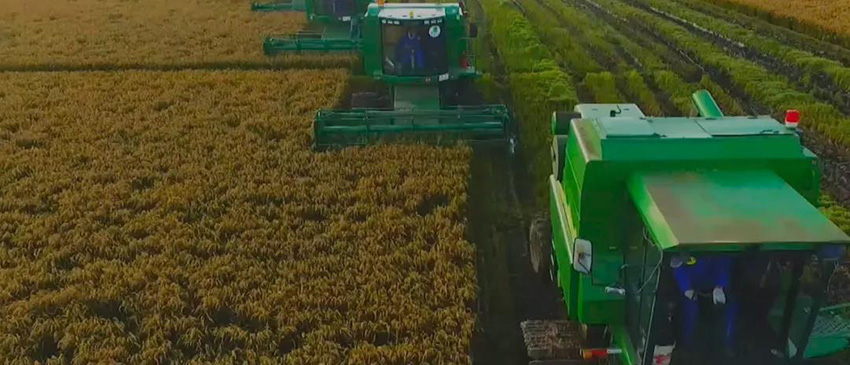 yl8cc永利集团(中国区)官方网站-Ultra Platform