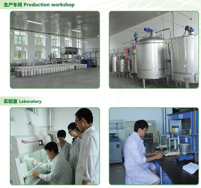 yl8cc永利集团(中国区)官方网站-Ultra Platform