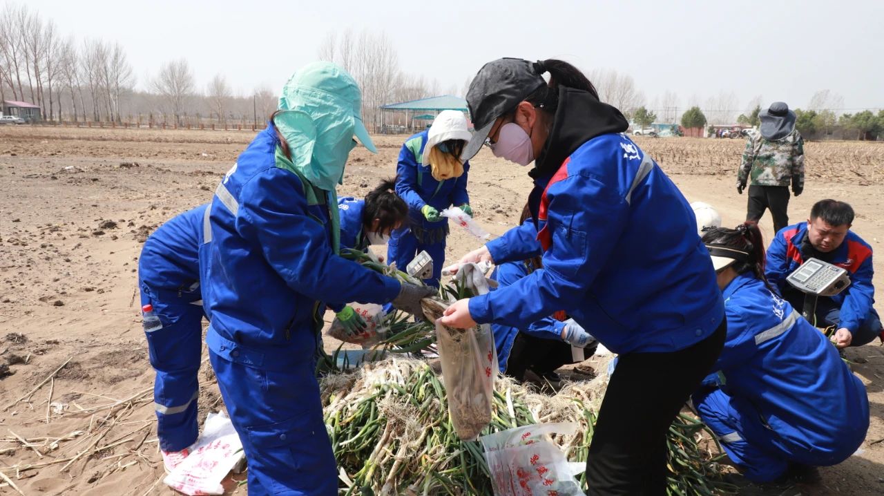 yl8cc永利集团(中国区)官方网站-Ultra Platform