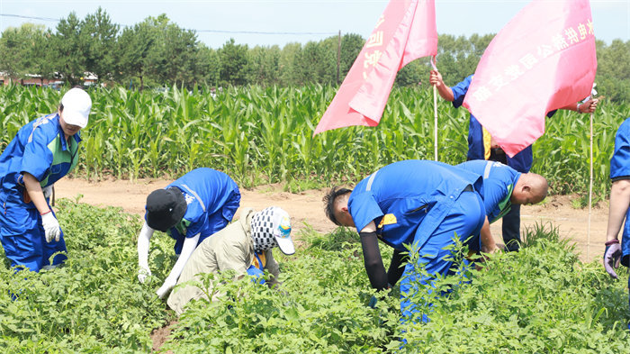 yl8cc永利集团(中国区)官方网站-Ultra Platform