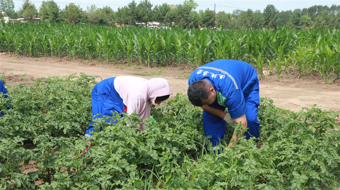 yl8cc永利集团(中国区)官方网站-Ultra Platform