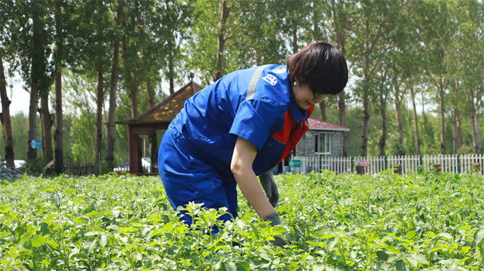 yl8cc永利集团(中国区)官方网站-Ultra Platform